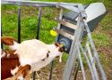 Milkbar Vitality flessysteem (5 stuks)
